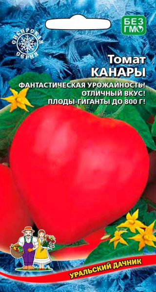Томат Канары УД