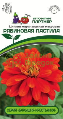 Цинния РЯБИНОВАЯ ПАСТИЛА 2-ной пак. 5шт Цинния РЯБИНОВАЯ ПАСТИЛА 2-ной пак. 5шт