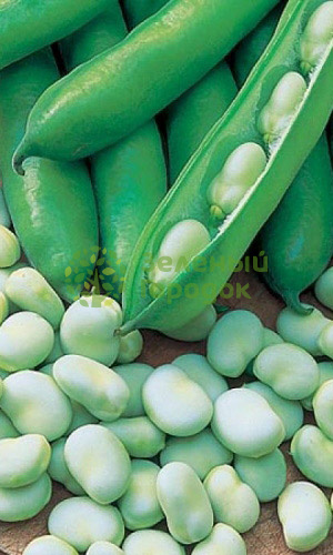 Бобы Русские Черные (Марс) белый пакет 6шт Бобы Русские Черные (Марс) белый пакет 6шт