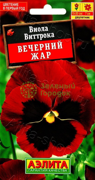 Виола Виттрока Вечерний жар, АЭ 0,1г
