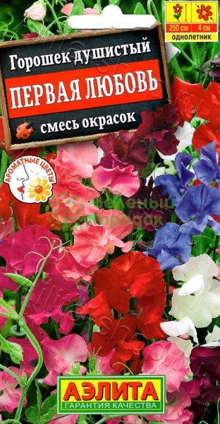 Горошек душистый Первая любовь, смесь АЭ 0,5г