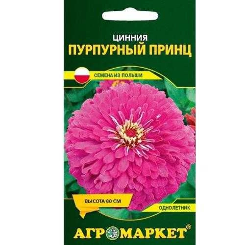 Цинния Пурпурный принц АМ 1г