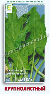 Щавель Крупнолистный (ЦВ) 1г Щавель Крупнолистный (ЦВ) 1г