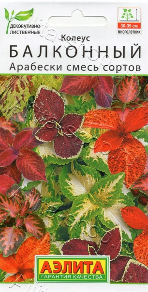 Колеус балконный Арабески смесь сортов АЭ 5шт