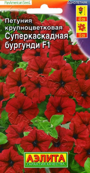 Петуния Суперкаскадная F1 бургунди АЭ 7шт Петуния Суперкаскадная F1 бургунди АЭ 7шт