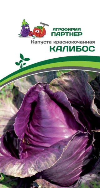 Капуста краснокочанная КАЛИБОС 0,3г Капуста краснокочанная КАЛИБОС 0,3г