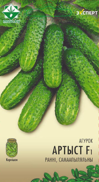 Огурец Артист F1 МССО 7шт Огурец Артист F1 МССО 7шт