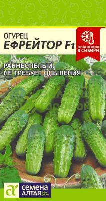 Огурец Ефрейтор F1 SA 5шт Огурец Ефрейтор F1 SA 5шт