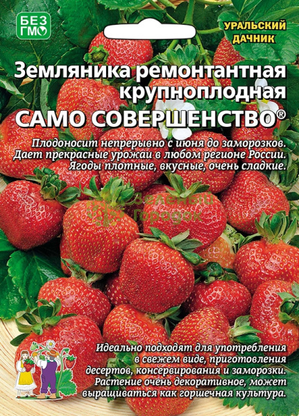 Земляника Само совершенство ремонтантная УД Б/Ф 10шт Земляника Само совершенство ремонтантная УД Б/Ф 10шт
