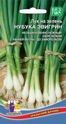 Лук на зелень Нубука Эвигрин УД 0,25г