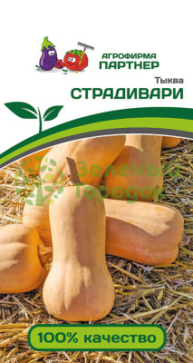 Тыква СТРАДИВАРИ 10шт Тыква СТРАДИВАРИ 10шт