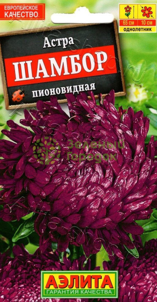Астра пионовидная Шамбор АЭ 0,2г