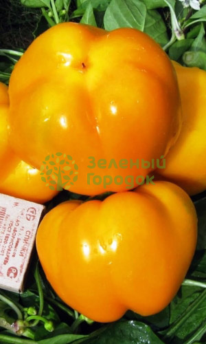 Перец сладкий Оранжевый Юбилей (Марс) белый пакет 0,25г