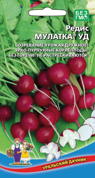 Редис Мулатка УД Редис Мулатка УД