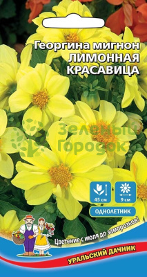 Георгина мигнон Лимонная Красавица УД 0,2г