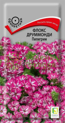 Флокс друммонда Пилигрим (ЦВ) 0,1г Флокс друммонда Пилигрим (ЦВ) 0,1г
