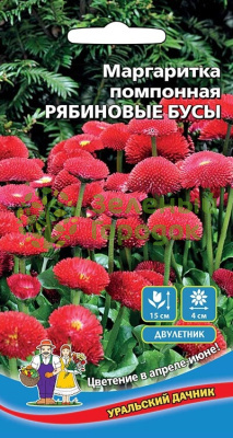 Маргаритка помпонная Рябиновые бусы УД 0,03г