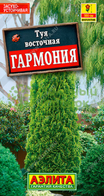 Туя восточная Гармония АЭ 8шт Туя восточная Гармония АЭ 8шт