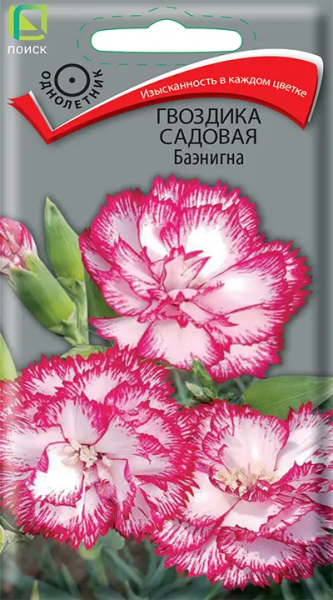 Гвоздика садовая Баэнигна (ЦВ) 0,1г