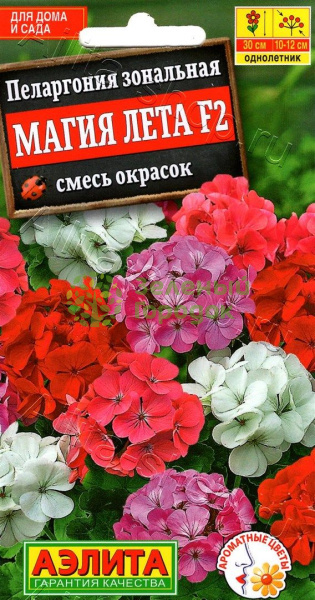 Пеларгония Магия лета F2, смесь АЭ 5шт Пеларгония Магия лета F2, смесь АЭ 5шт