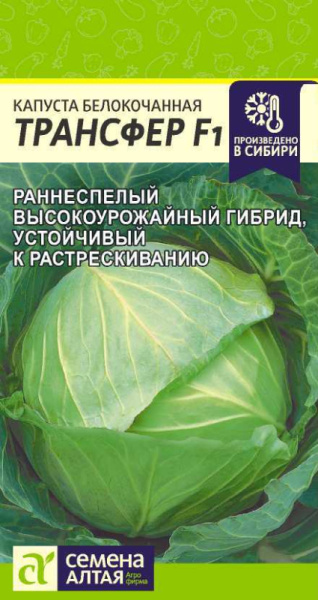 Капуста б/к Трансфер F1 SA 0,1г Капуста б/к Трансфер F1 SA 0,1г