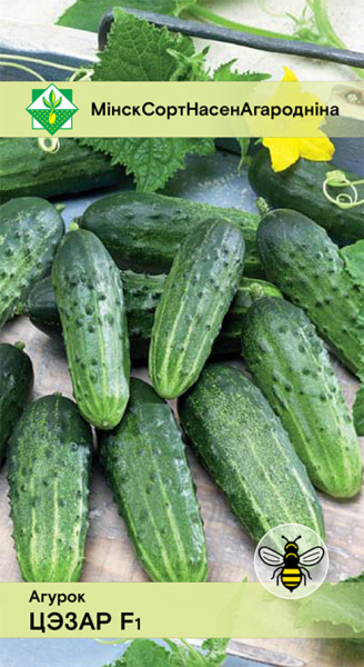 Огурец Цезарь F1 МССО 0,6г Огурец Цезарь F1 МССО 0,6г