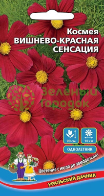 Космея Вишнево-красная сенсация УД 0,15г