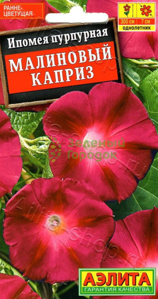 Ипомея Малиновый каприз АЭ 1г Ипомея Малиновый каприз АЭ 1г