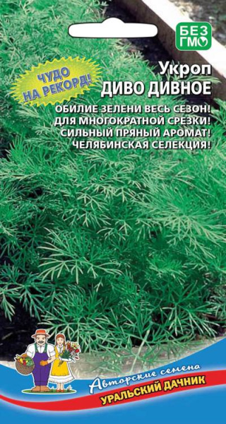 Укроп Диво дивное УД Укроп Диво дивное УД