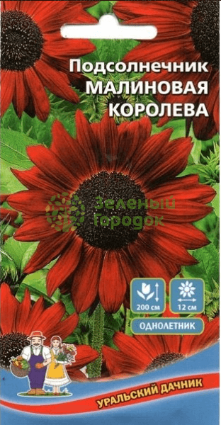 Подсолнечник Малиновая королева УД 10шт