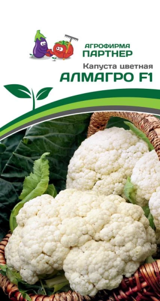 Капуста цветная АЛМАГРО F1 10шт в амп Капуста цветная АЛМАГРО F1 10шт в амп