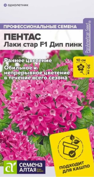 Пентас Лаки стар F1 Дип пинк ланцетовидный SA 3шт