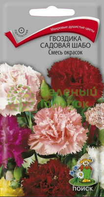 Гвоздика садовая Шабо Смесь окрасок (ЦВ) 0,3г