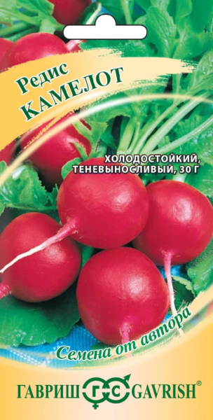 Редис Камелот автор. ГВ 2г Редис Камелот автор. ГВ 2г