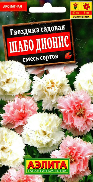 Гвоздика Шабо Дионис садовая смесь сортов АЭ 0,05г