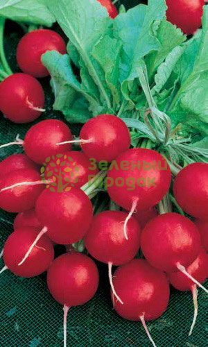 Редис Ранний Красный (Марс) белый пакет 3г Редис Ранний Красный (Марс) белый пакет 3г