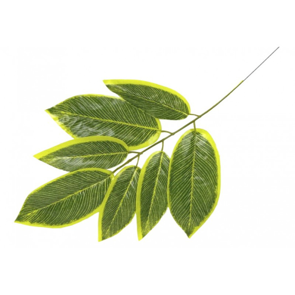 Ветка манго 7листов 59см арт. ЗК064 (самовывоз и курьер по Минску)