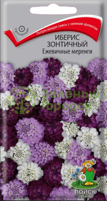 Иберис зонтичный Ежевичные меренги (ЦВ) 0,1г Иберис зонтичный Ежевичные меренги (ЦВ) 0,1г