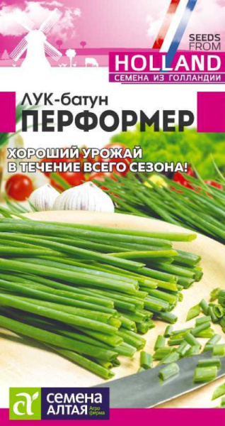 Лук батун Перформер Bejo (Голландские Семена) SA 0,2г