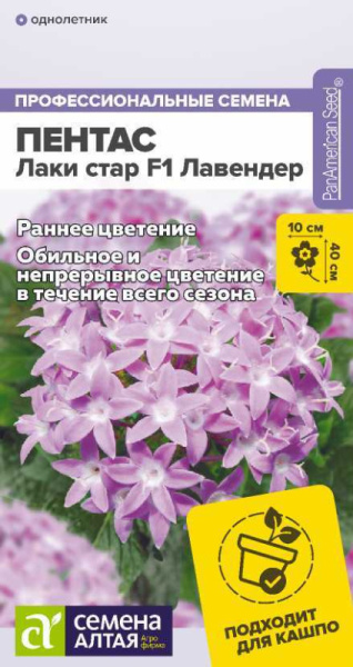 Пентас Лаки стар F1 Лавендер ланцетовидный SA 3шт