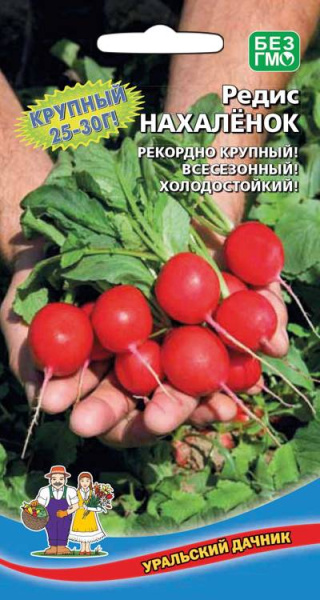 Редис Нахалёнок УД Редис Нахалёнок УД
