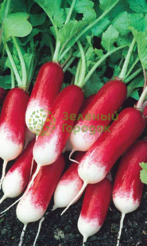 Редис Французский Завтрак (Марс) белый пакет 2г Редис Французский Завтрак (Марс) белый пакет 2г