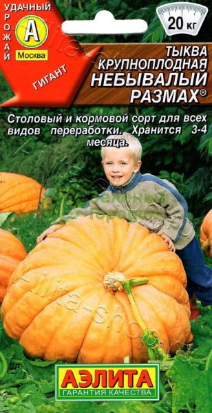 Тыква Небывалый размах крупноплодная АЭ 2г