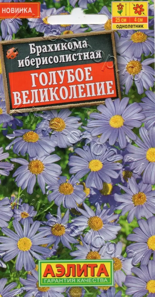 Брахикома Голубое великолепие АЭ 0,05г