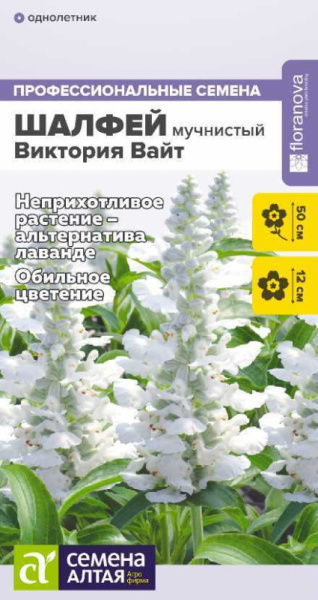 Шалфей Виктория Вайт мучнистый SA 10шт