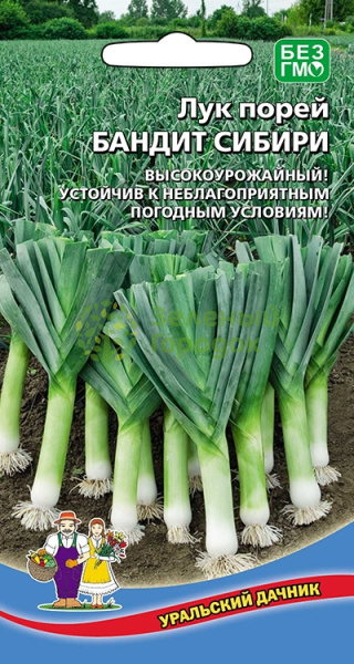 Лук порей Бандит Сибири УД Лук порей Бандит Сибири УД