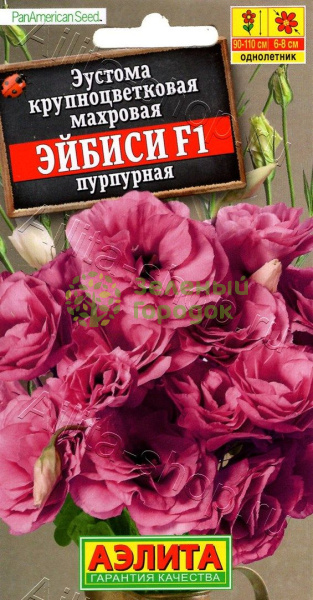 Эустома крупноцветковая махровая Эйбиси F1 пурпурная АЭ 5шт
