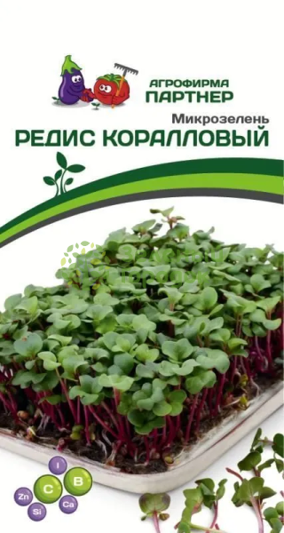 Микрозелень РЕДИС КОРАЛЛОВЫЙ 5г Микрозелень РЕДИС КОРАЛЛОВЫЙ 5г