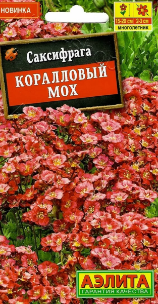 Саксифрага Коралловый мох АЭ 0,01г Саксифрага Коралловый мох АЭ 0,01г