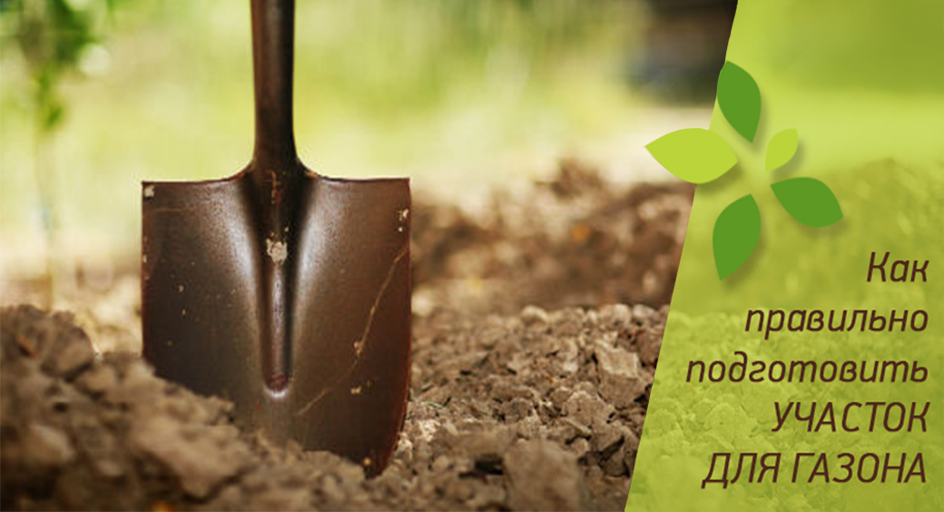 Сеем газон. Как правильно подготовить участок?